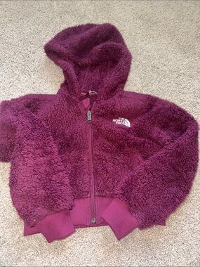 The North Face Cropped Sherpa Hoodie - Deep Plum